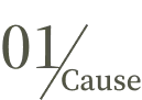 01Cause