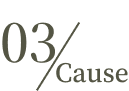 03Cause